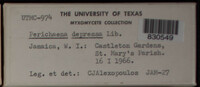 Image Associated With the Occurence